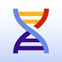 Product Beam.city DNA