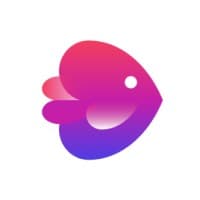 Image for product InVideo in the marketplace NachoNacho